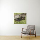 Tenture Petit Ours noir dans l'arbre (En situation (horizontale))