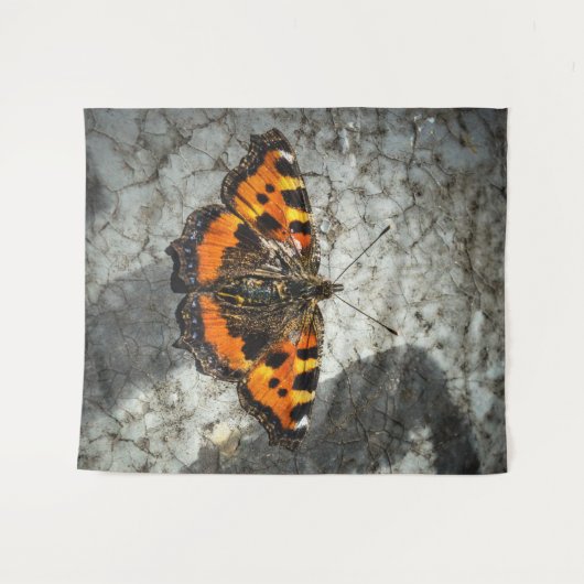 Tenture Petit papillon Tortoiseshell (Devant (Horizontal))