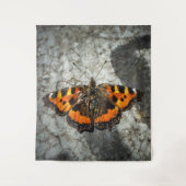 Tenture Petit papillon Tortoiseshell (Devant)