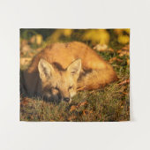 Tenture Petit renard endormi (Devant (Horizontal))