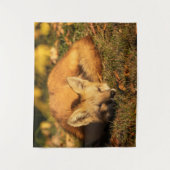 Tenture Petit renard endormi (Devant)