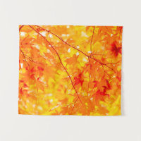Petite nature des oliviers d'automne