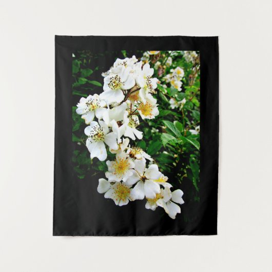 TENTURE PETITES FLEURS BLANCHES (Devant)