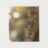 Tenture Petits champignons Photo nature (Devant)