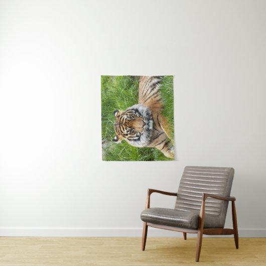 Tenture Photo Big Cat Sumatran Tiger (En situation)