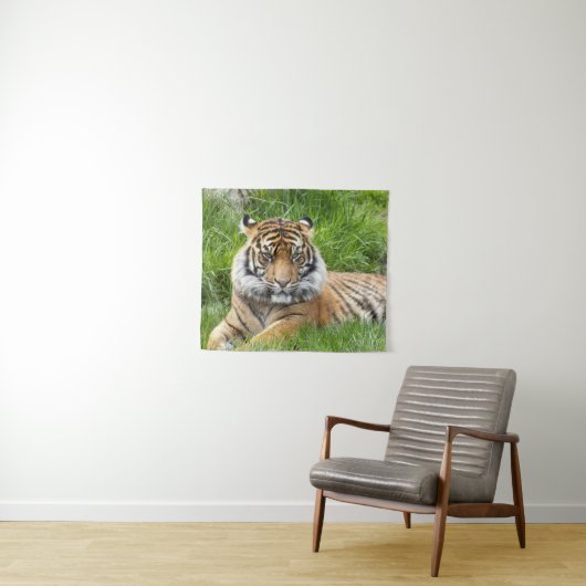 Tenture Photo Big Cat Sumatran Tiger (En situation (horizontale))