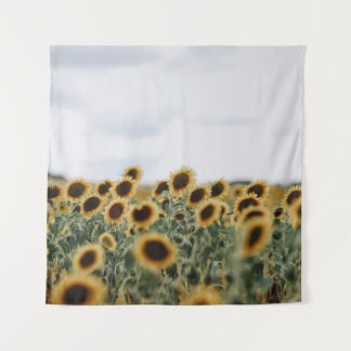 TENTURE PHOTO DE CLOSEUP DE SUNFLOWERS