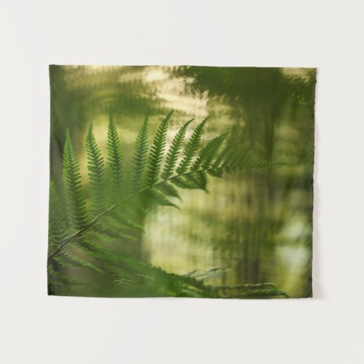 Tenture Photo de Fern Nature (Devant (Horizontal))