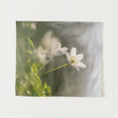Tenture Photo de la nature des fleurs (Devant (Horizontal))