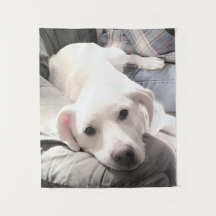 Tenture Photo d'un chiot fatigué mignon avec papa sur le c