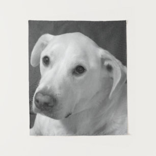 Tenture Photo en noir et blanc d'un beau chien à l'âne
