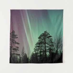 TENTURE PHOTO SILHOUETTE D'AURORA BOREALIS