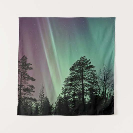 TENTURE PHOTO SILHOUETTE D'AURORA BOREALIS (Devant)