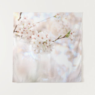 TENTURE PHOTOGRAPHIE CLOSEUP CHERRY BLANC BLOSSOMS