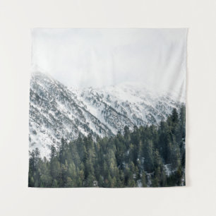 TENTURE PHOTOGRAPHIE DU PAYSAGE DES ARBRES