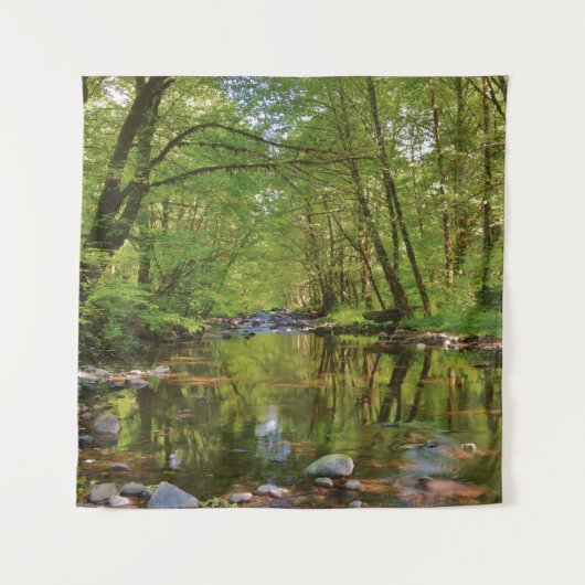 Tenture Pittoresque de la rivière Wilson (Devant)