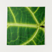Tenture Plante à feuilles vertes (Devant (Horizontal))