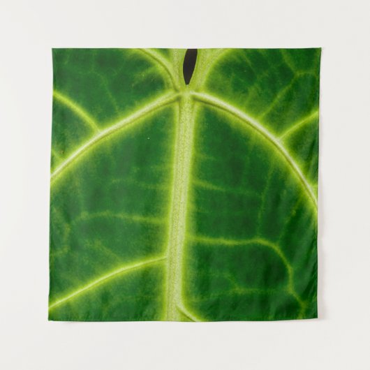 Tenture Plante à feuilles vertes (Devant)