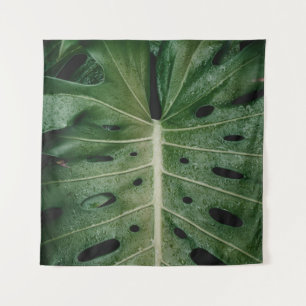 Tenture Plante de feuille verte