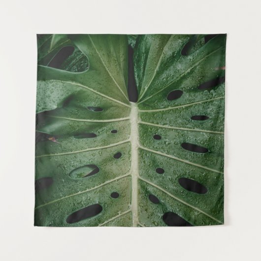 Tenture Plante de feuille verte (Devant)
