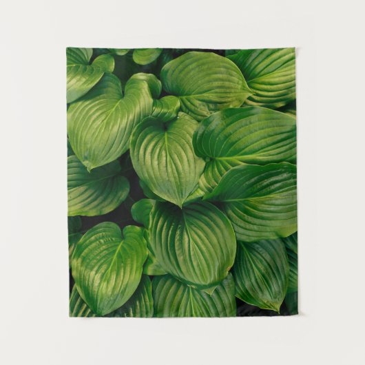Tenture Plante vert (Devant)