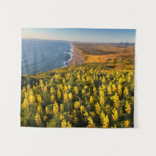 Tenture Point Reyes National Seashore California