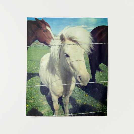 Tenture Pony (Devant)