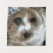 Tenture Portrait de chien de rue White Haired (Devant (Horizontal))