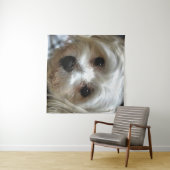 Tenture Portrait de chien de rue White Haired (En situation (horizontale))