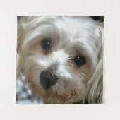 Tenture Portrait de chien de rue White Haired (Devant)