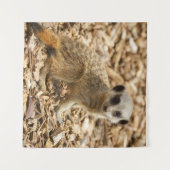 Tenture Poster Baby Meerkat (Devant (Horizontal))