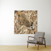 Tenture Poster Baby Meerkat (En situation (horizontale))