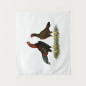 Tenture Poules Aseel Black Red (Devant)