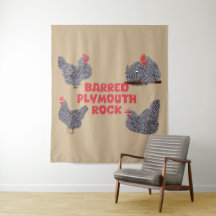 Poulets de roche de Plymouth barrés