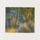 Tenture Proxy Falls Three Sisters Wilderness Oregon (Devant (Horizontal))