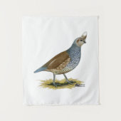 Tenture Quail à échelle (Devant)