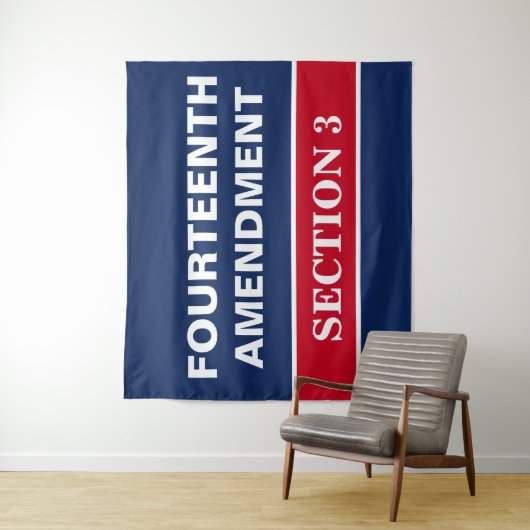 Tenture Quatorzième amendement Article 3 Constitution (En situation)