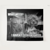 TENTURE QUELLE GRAISSE (Devant (Horizontal))