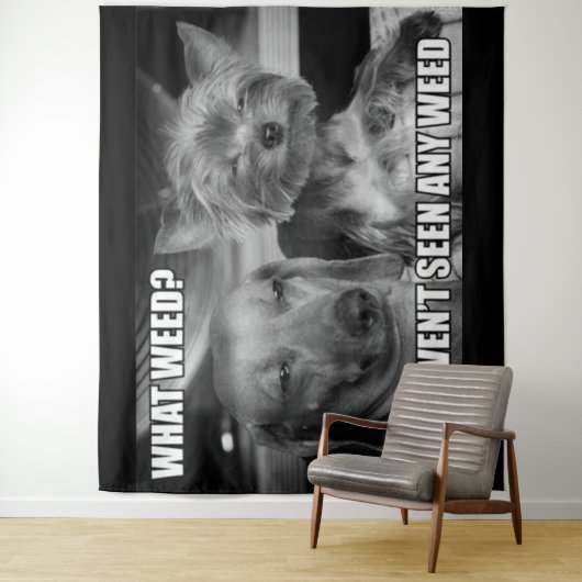 TENTURE QUELLE MAUVAISE HERBE (En situation)