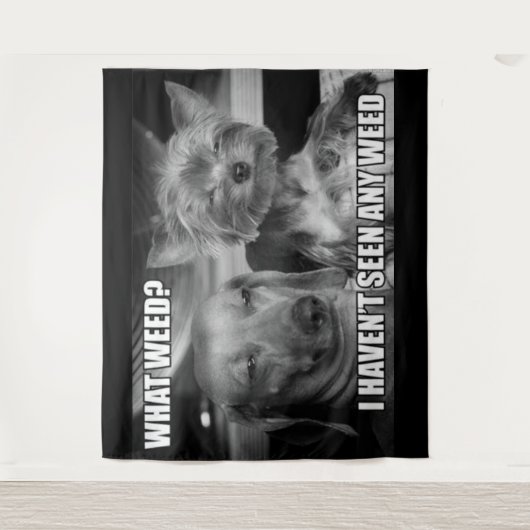 TENTURE QUELLE MAUVAISE HERBE (Devant)