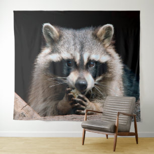 Tenture Raccoon 004