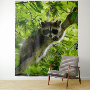 Tenture Raccoon dans Green Tree Cute gris masqué raccoon