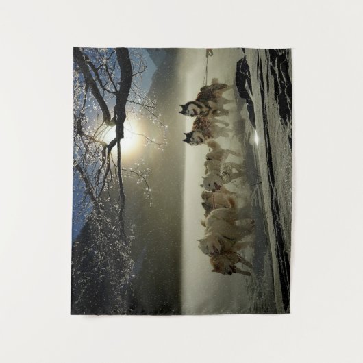 Tenture Race de Sled (Devant)