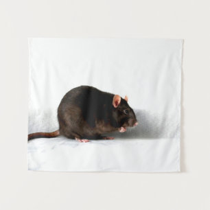 Tenture Rat wtcna