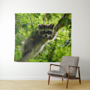 Tenture Raton laveur dans un arbre vert Raton laveur gris