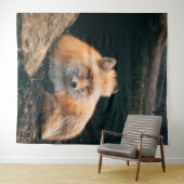 Tenture Red Fox dormant (En situation (horizontale))