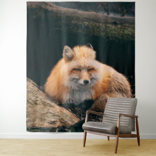 Tenture Red Fox dormant