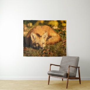 Tenture Renard Petit Endormi       