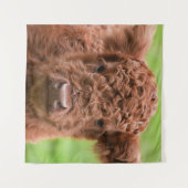 Tenture Rencontrez l'adorable Calf des Highlands (Devant (Horizontal))
