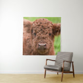 Tenture Rencontrez l'adorable Calf des Highlands (En situation)